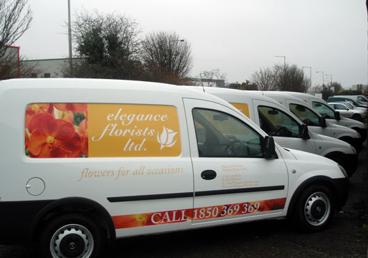 Vehicle Graphics 2